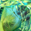 Green leaf jungle chiffon fabric #50010 #50772 - Image 4