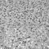 Silver sequined and white lace fabric #50729 - Image 6